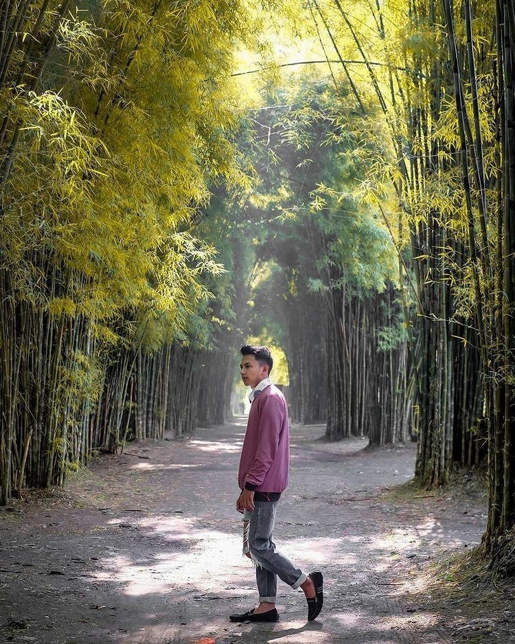 Wisata Hutan Bambu Keputih Surabaya: Lokasi dan Harga Masuk