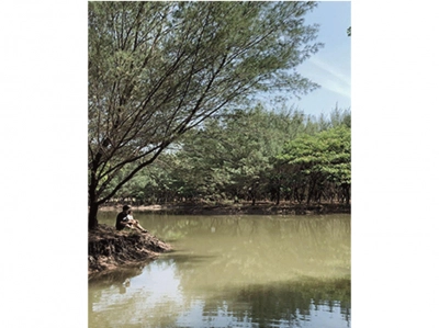 Hutan Kota Pakal: Harga Tiket Masuk, Lokasi, dan Info Lainnya